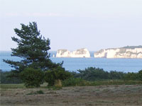 Old Harry Rocks, Isle of Purbeck