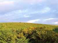 Dartmoor National Park