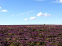 Exmoor National Park