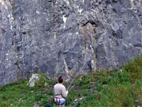 Cheddar Gorge, Mendips