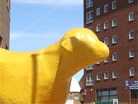 Lambbanana, Liverpool